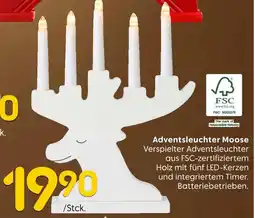 Rusta Adventsleuchter moose Angebot