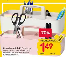 Rusta Organizer mit griff Angebot