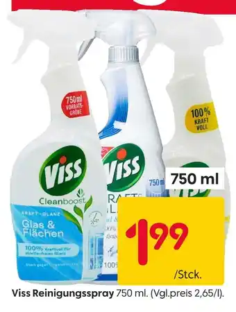 Rusta Viss reinigungsspray Angebot