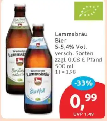 Budni Lammsbräu Bier Angebot