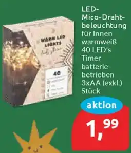 Budni LED- Mico-Drahtbeleuchtung Angebot