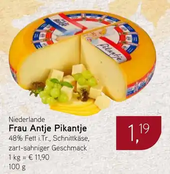 Dornseifer Frau Antje Pikantje Angebot
