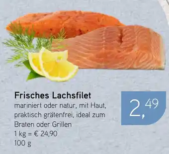 Dornseifer Frisches Lachsfilet Angebot