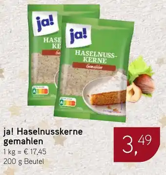 Dornseifer ja! Haselnusskerne gemahlen Angebot