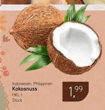 Dornseifer Kokosnuss Angebot