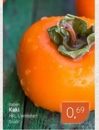 Dornseifer Kaki Angebot