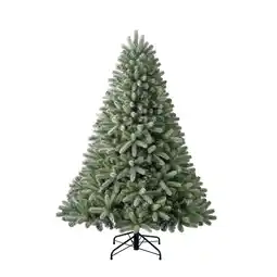 Netto Marken-Discount Evergreen Weihnachtsbaum Vermont Fichte 180 cm Angebot