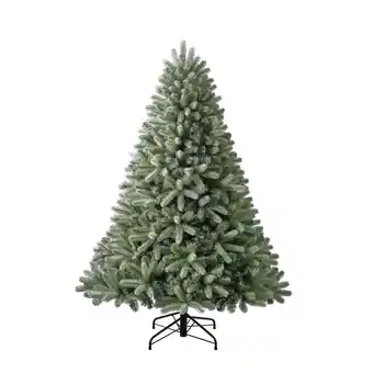 Netto Marken-Discount Evergreen Weihnachtsbaum Vermont Fichte 180 cm Angebot