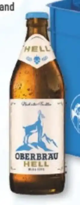 trinkgut Holzkirchner Oberbräu Hell Angebot