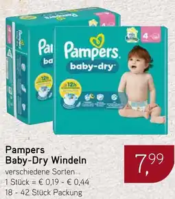Dornseifer Pampers Baby-Dry Windeln Angebot