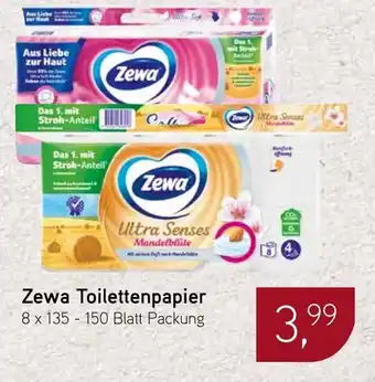 Dornseifer Zewa Toilettenpapier Angebot