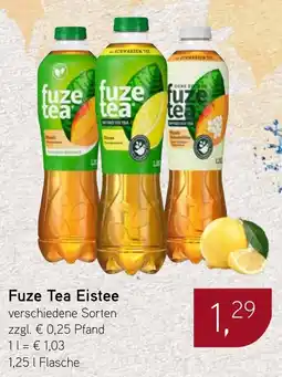 Dornseifer Fuze Tea Eistee Angebot