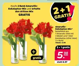 NETTO Amaryllis-eukalyptus-mix Angebot