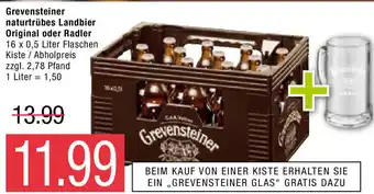 Marktkauf Grevensteiner naturtrübes Landbier Original oder radler Angebot