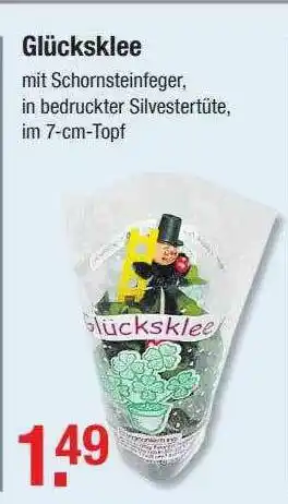 V Baumarkt Glücksklee Angebot