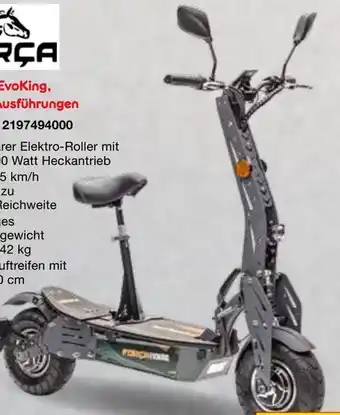 Netto Marken-Discount E-Roller EvoKing Angebot