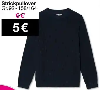 Woolworth Strickpullover Angebot