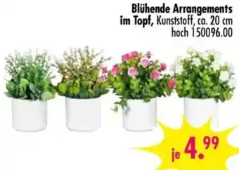 Möbel Boss Blühende Arrangements im Topf Angebot