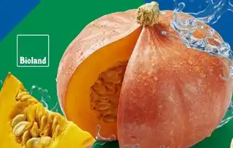 Lidl Bio Speisekürbisse Hokkaido Angebot