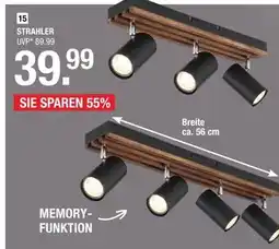 Hofmeister Strahler 3-flammig Angebot