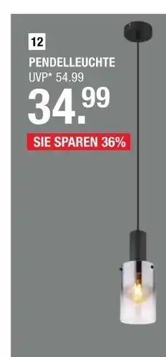Hofmeister Pendelleuchte Angebot