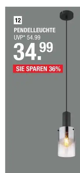 Hofmeister Pendelleuchte Angebot