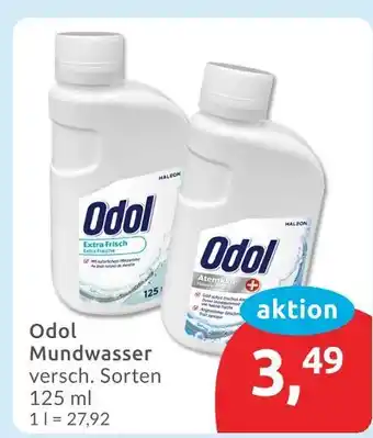 Budni Odol extra frisch Angebot
