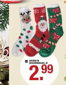 Hofmeister Socken Angebot