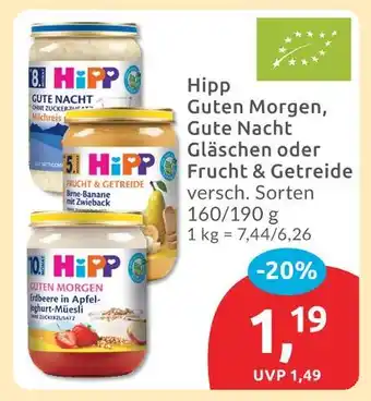 Budni Hipp guten morgen Angebot