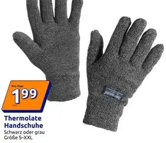 Action Thermolate Handschuhe Angebot