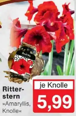 Wiglo Wunderland Ritterstern Angebot