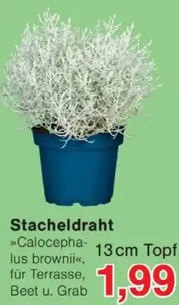 Wiglo Wunderland Stacheldraht Angebot