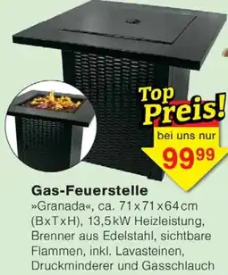 Wiglo Wunderland Gas-Feuerstelle Angebot