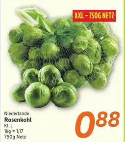 inkoop Rosenkohl Angebot