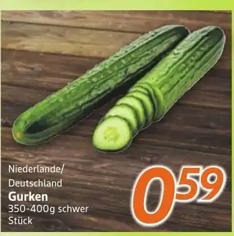 inkoop Gurken Angebot