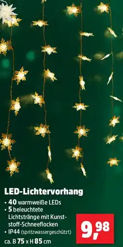 Thomas Philipps LED-Lichtervorhang Angebot