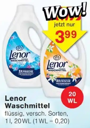 Wiglo Wunderland Lenor Waschmittel Angebot