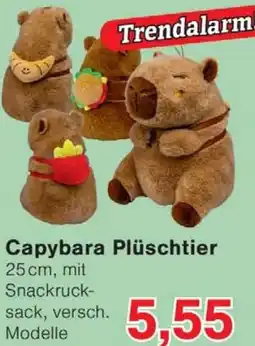Wiglo Wunderland Capybara Plüschtier Angebot