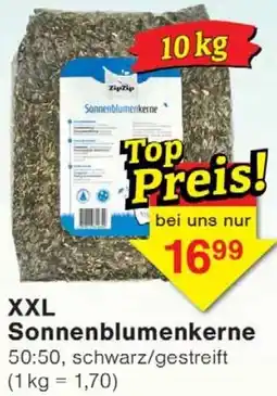 Wiglo Wunderland XXL Sonnenblumenkerne Angebot