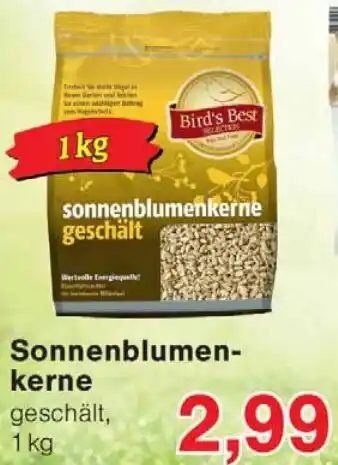 Wiglo Wunderland Sonnenblumenkerne Angebot