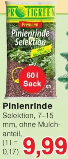 Wiglo Wunderland Pinienrinde Angebot