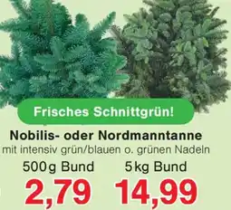 Wiglo Wunderland Nobilis- oder Nordmanntanne Angebot
