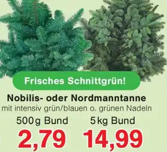 Wiglo Wunderland Nobilis- oder Nordmanntanne Angebot