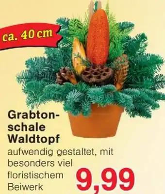 Wiglo Wunderland Grabtonschale Waldtopf Angebot
