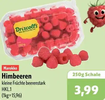 Aktiv Irma Marokko Driscoll's Himbeeren Angebot
