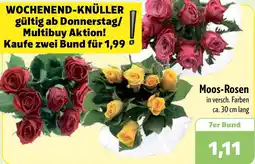 Aktiv Irma Moos-Rosen Angebot
