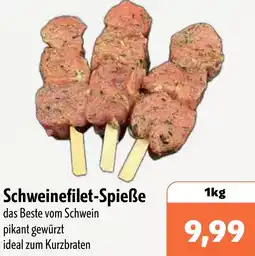 Aktiv Irma Schweinefilet-Spieße Angebot