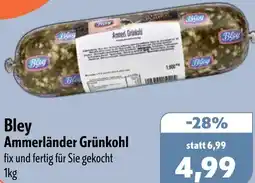 Aktiv Irma Bley Ammerländer Grünkohl Angebot