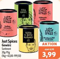 Aktiv Irma Just Spices Gewürz Angebot