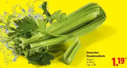 Lidl Deutscher Staudensellerie Angebot
